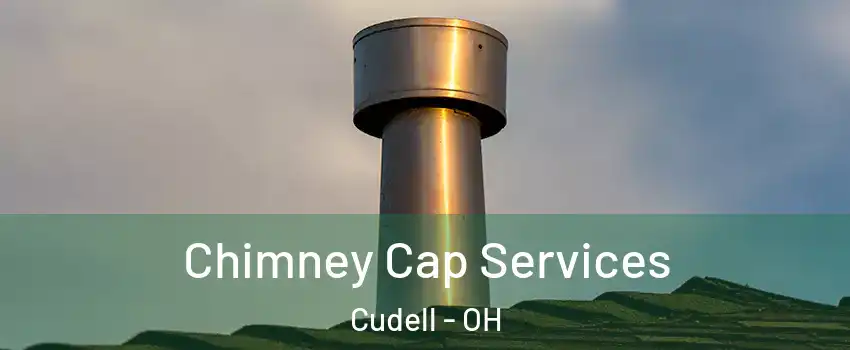 Chimney Cap Services Cudell - OH