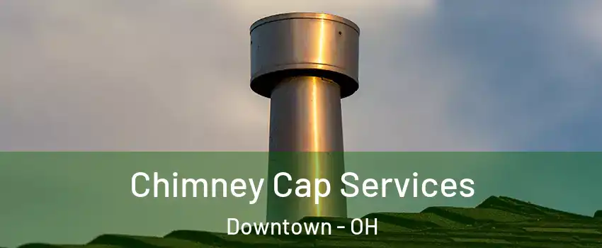 Chimney Cap Services Downtown - OH