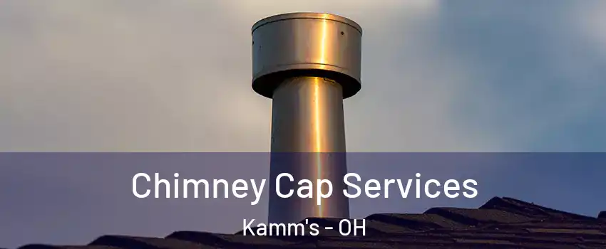 Chimney Cap Services Kamm's - OH