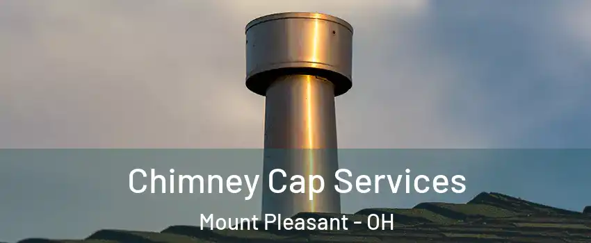 Chimney Cap Services Mount Pleasant - OH
