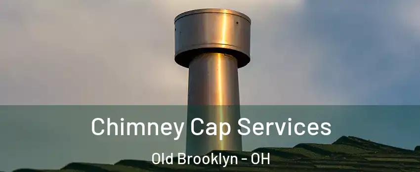 Chimney Cap Services Old Brooklyn - OH