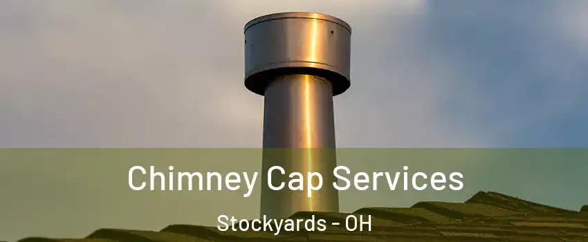 Chimney Cap Services Stockyards - OH