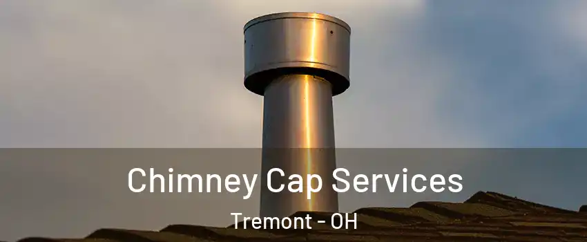 Chimney Cap Services Tremont - OH