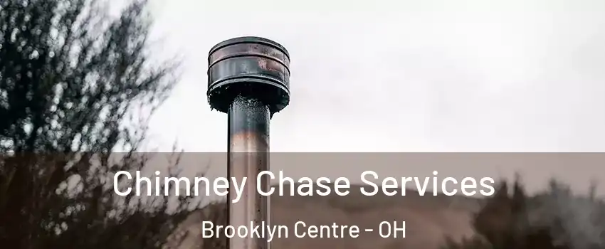 Chimney Chase Services Brooklyn Centre - OH