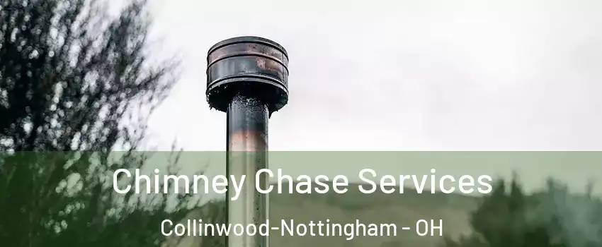 Chimney Chase Services Collinwood-Nottingham - OH