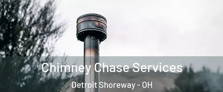 Chimney Chase Services Detroit Shoreway - OH