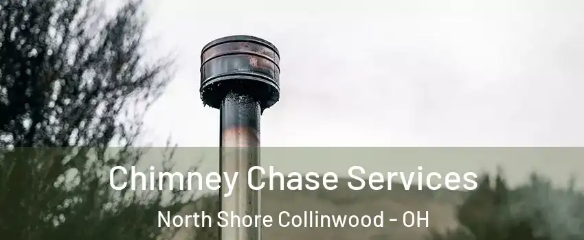 Chimney Chase Services North Shore Collinwood - OH