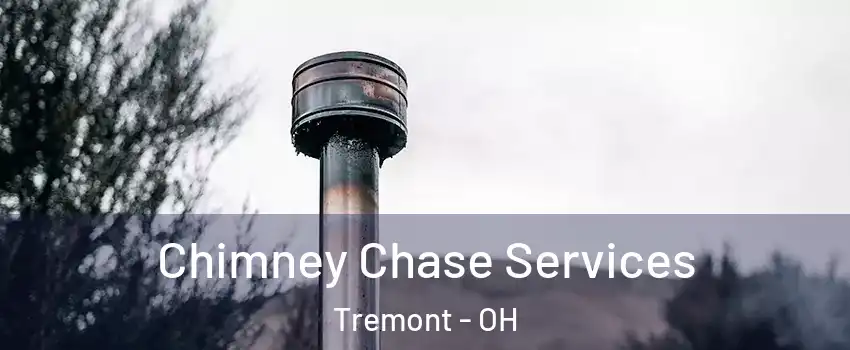 Chimney Chase Services Tremont - OH