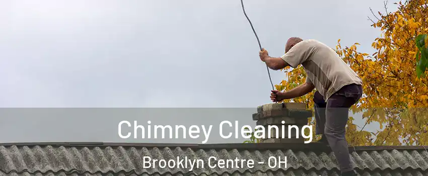 Chimney Cleaning Brooklyn Centre - OH