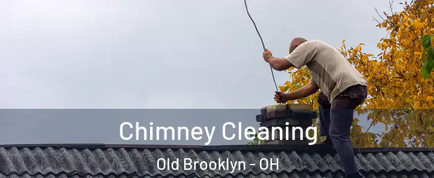 Chimney Cleaning Old Brooklyn - OH