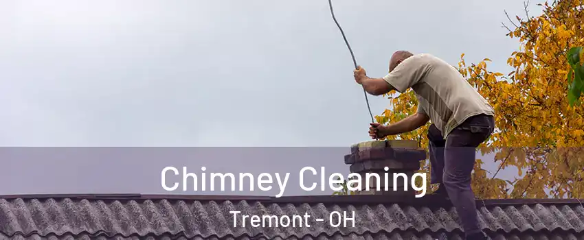 Chimney Cleaning Tremont - OH