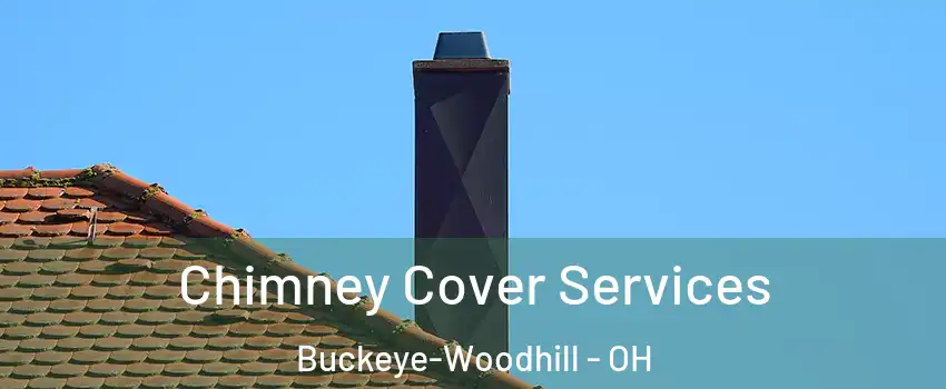Chimney Cover Services Buckeye-Woodhill - OH