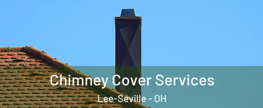 Chimney Cover Services Lee-Seville - OH