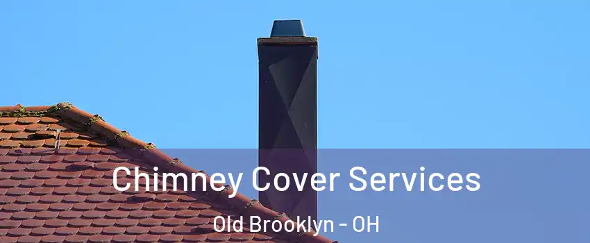 Chimney Cover Services Old Brooklyn - OH
