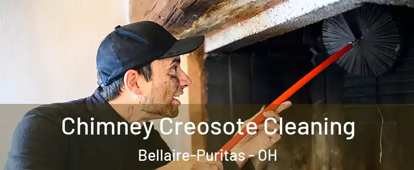 Chimney Creosote Cleaning Bellaire-Puritas - OH
