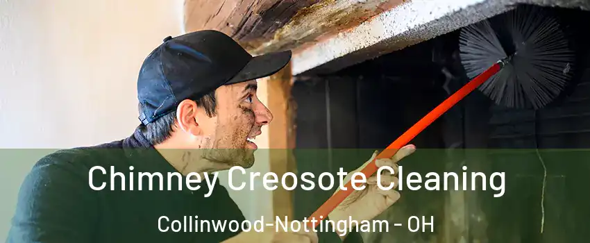 Chimney Creosote Cleaning Collinwood-Nottingham - OH