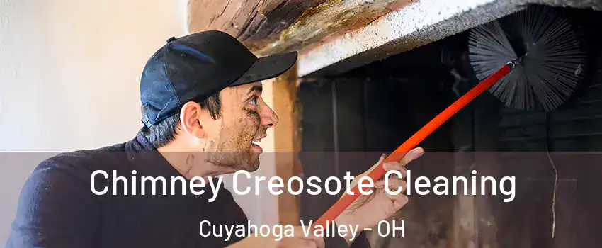 Chimney Creosote Cleaning Cuyahoga Valley - OH