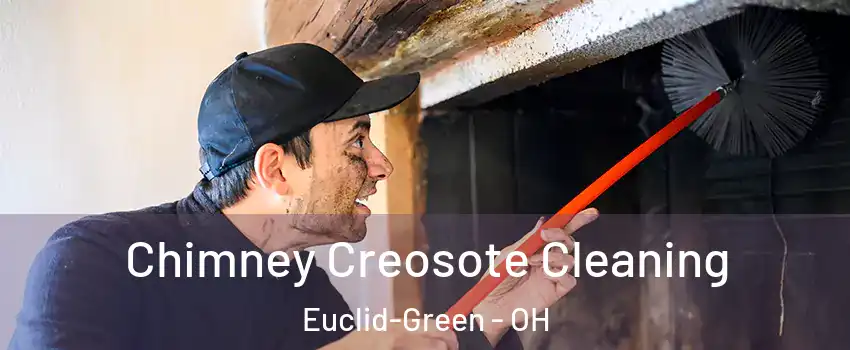 Chimney Creosote Cleaning Euclid-Green - OH