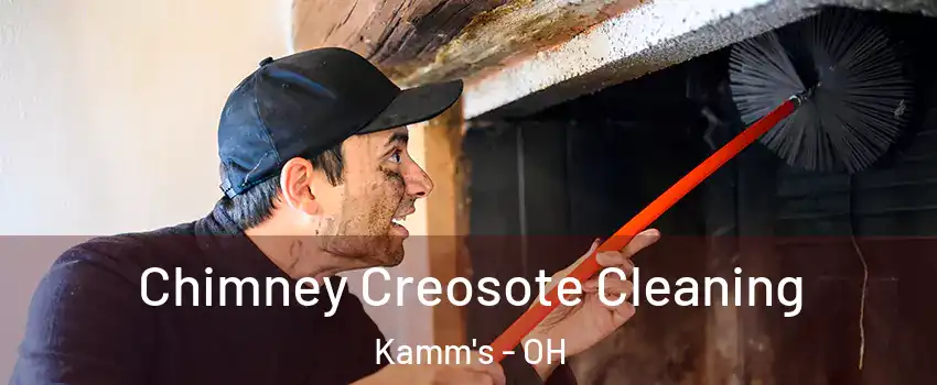 Chimney Creosote Cleaning Kamm's - OH