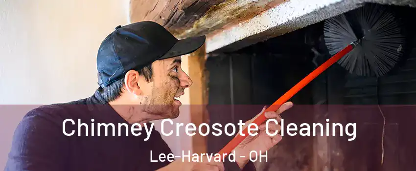 Chimney Creosote Cleaning Lee-Harvard - OH