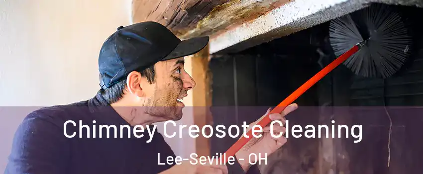 Chimney Creosote Cleaning Lee-Seville - OH