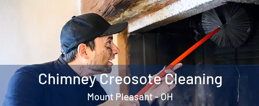 Chimney Creosote Cleaning Mount Pleasant - OH