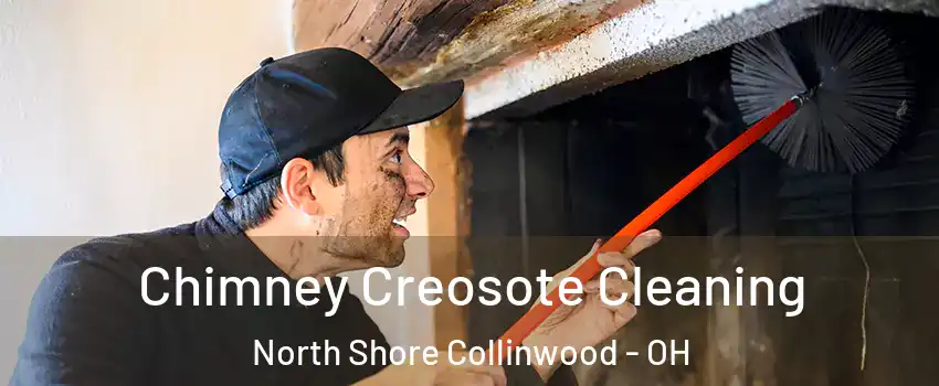 Chimney Creosote Cleaning North Shore Collinwood - OH