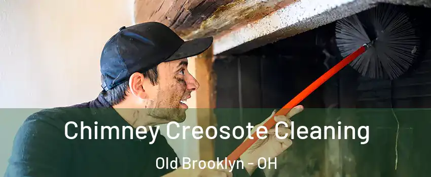 Chimney Creosote Cleaning Old Brooklyn - OH