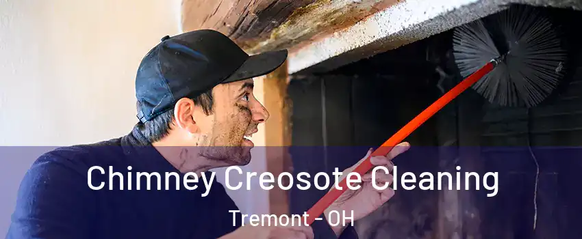Chimney Creosote Cleaning Tremont - OH