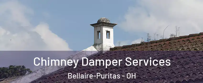 Chimney Damper Services Bellaire-Puritas - OH