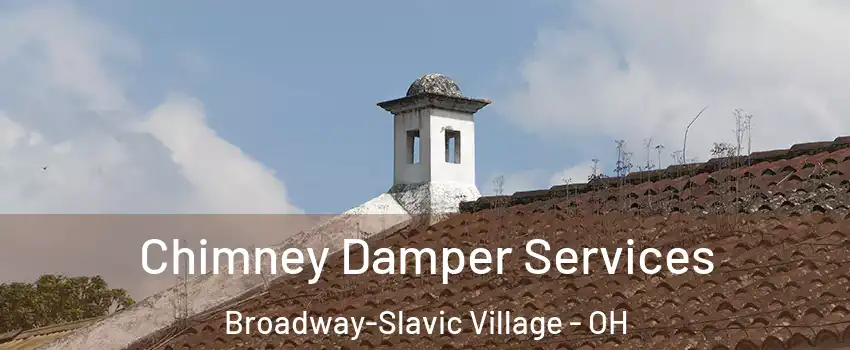 Chimney Damper Services Broadway-Slavic Village - OH