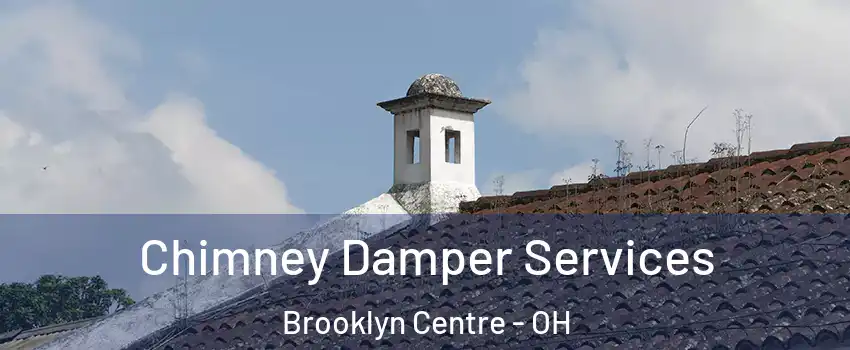Chimney Damper Services Brooklyn Centre - OH