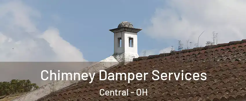 Chimney Damper Services Central - OH