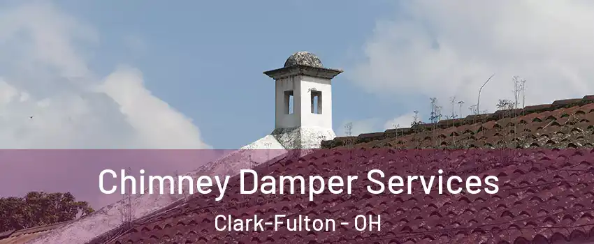 Chimney Damper Services Clark-Fulton - OH