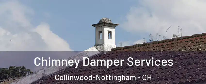 Chimney Damper Services Collinwood-Nottingham - OH