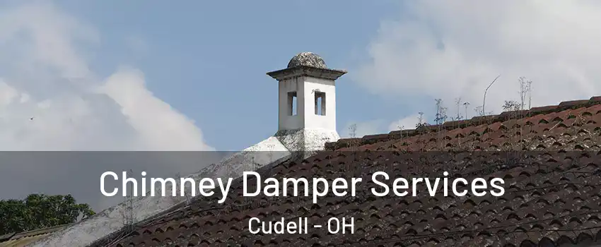 Chimney Damper Services Cudell - OH
