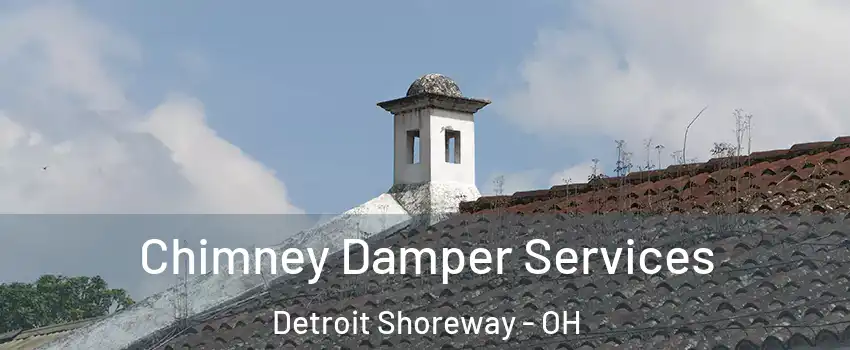 Chimney Damper Services Detroit Shoreway - OH