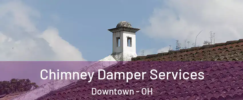 Chimney Damper Services Downtown - OH