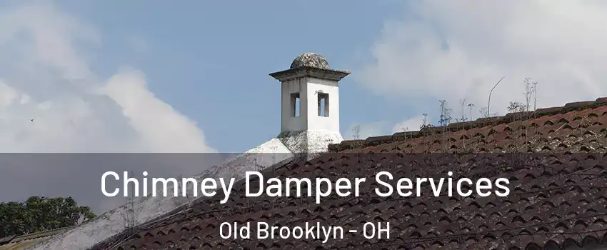 Chimney Damper Services Old Brooklyn - OH