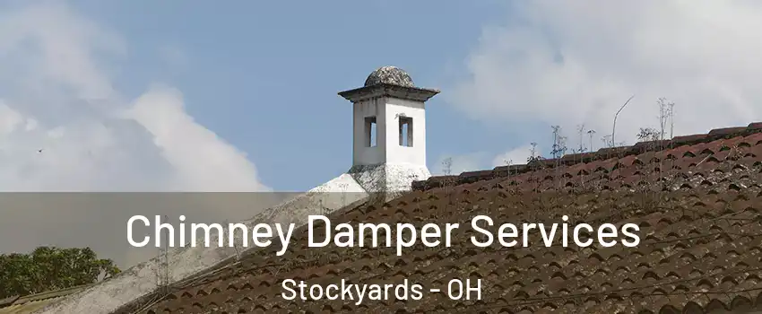 Chimney Damper Services Stockyards - OH