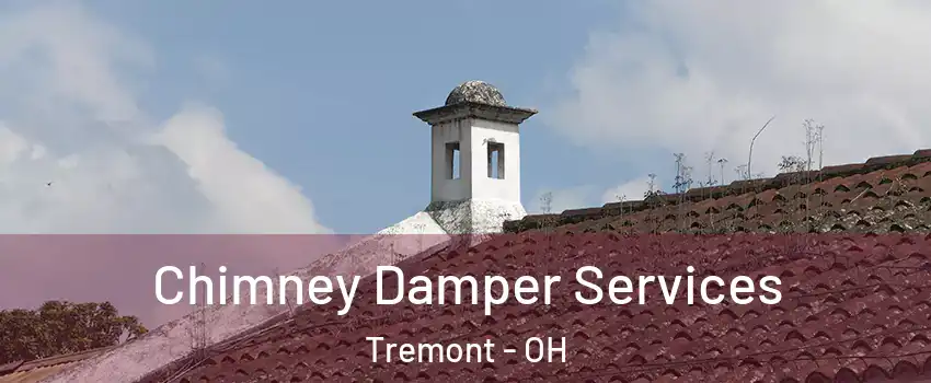 Chimney Damper Services Tremont - OH