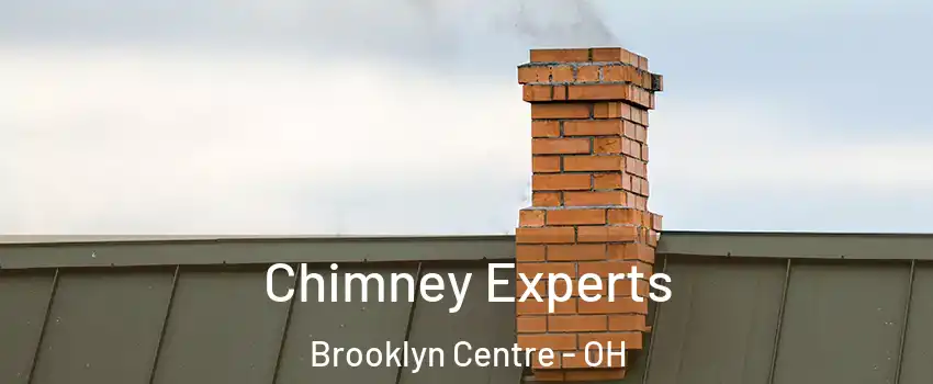 Chimney Experts Brooklyn Centre - OH