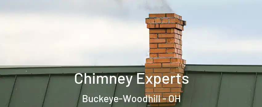 Chimney Experts Buckeye-Woodhill - OH