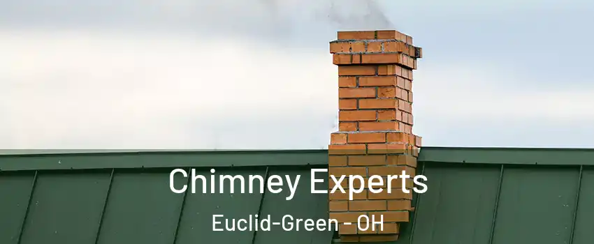 Chimney Experts Euclid-Green - OH