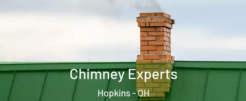Chimney Experts Hopkins - OH
