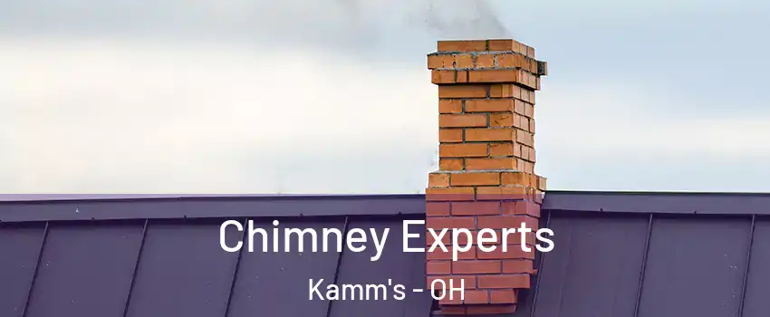 Chimney Experts Kamm's - OH