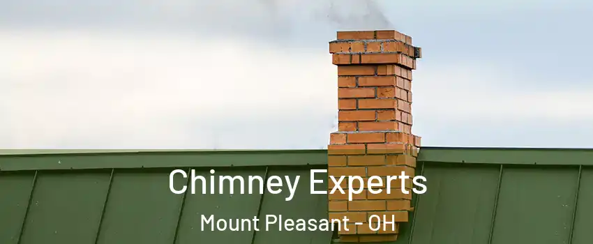 Chimney Experts Mount Pleasant - OH