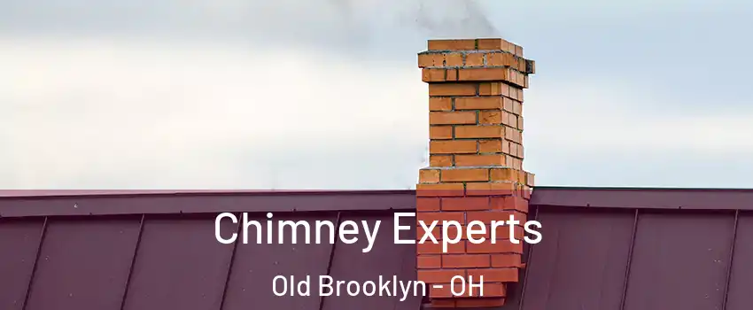 Chimney Experts Old Brooklyn - OH