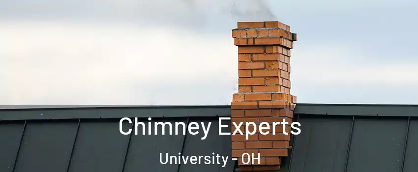 Chimney Experts University - OH