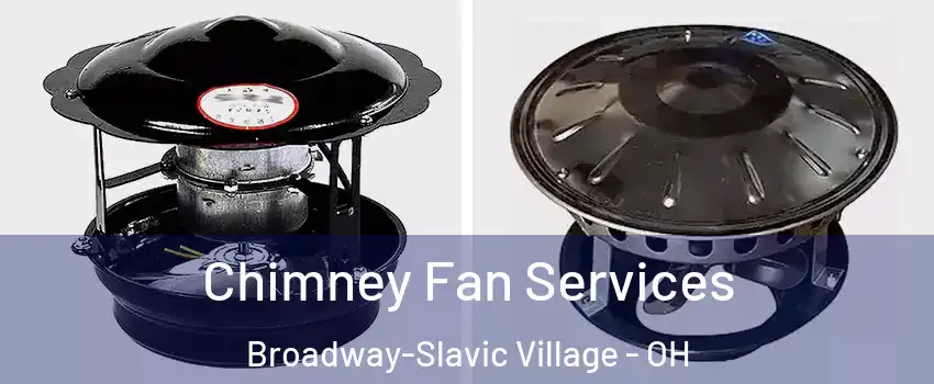 Chimney Fan Services Broadway-Slavic Village - OH